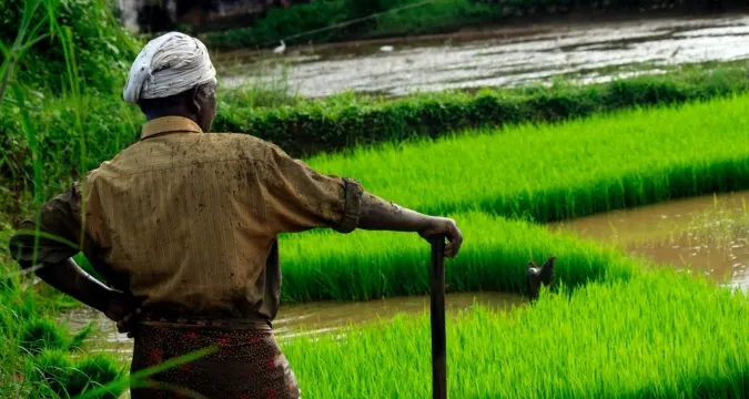 Farmers working in mustard fields symbolizing Haryana’s Green Revolution